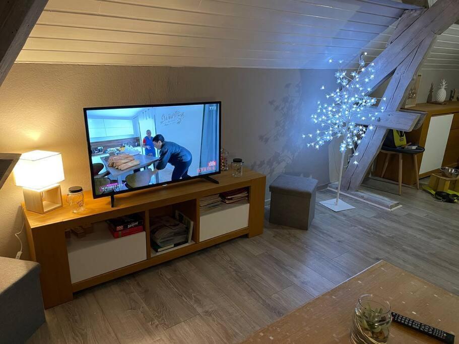 Loft Avec Jardin Apartment Corcieux Exterior foto