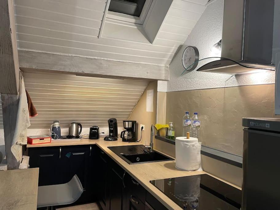 Loft Avec Jardin Apartment Corcieux Exterior foto
